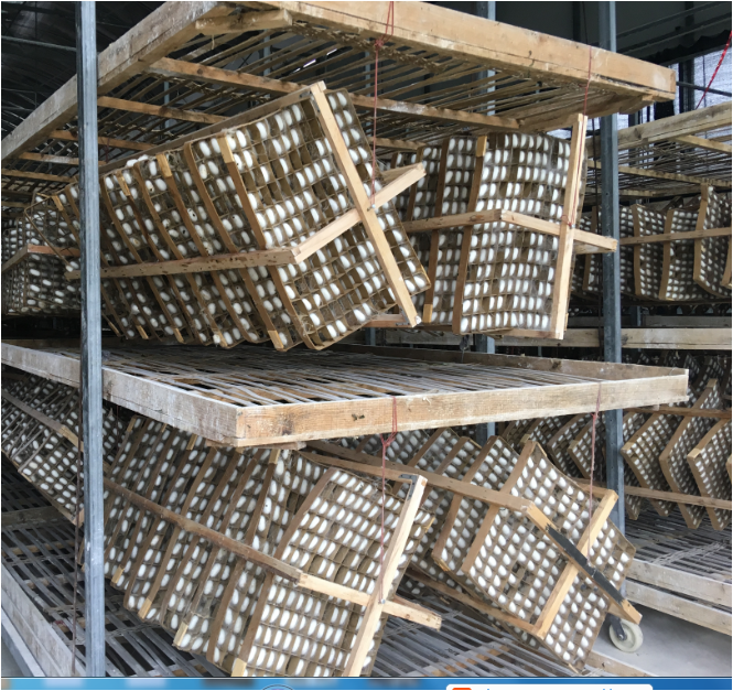 151375935088247027.png 图片4.png