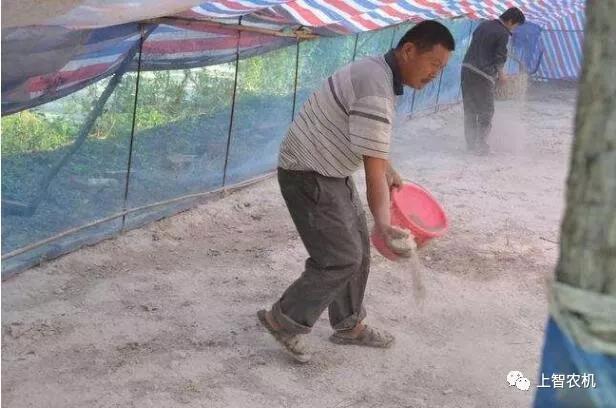 154233292932740267.jpg 微信图片_20181116094812.jpg